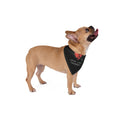 Love Life Tragedy Pet Bandana